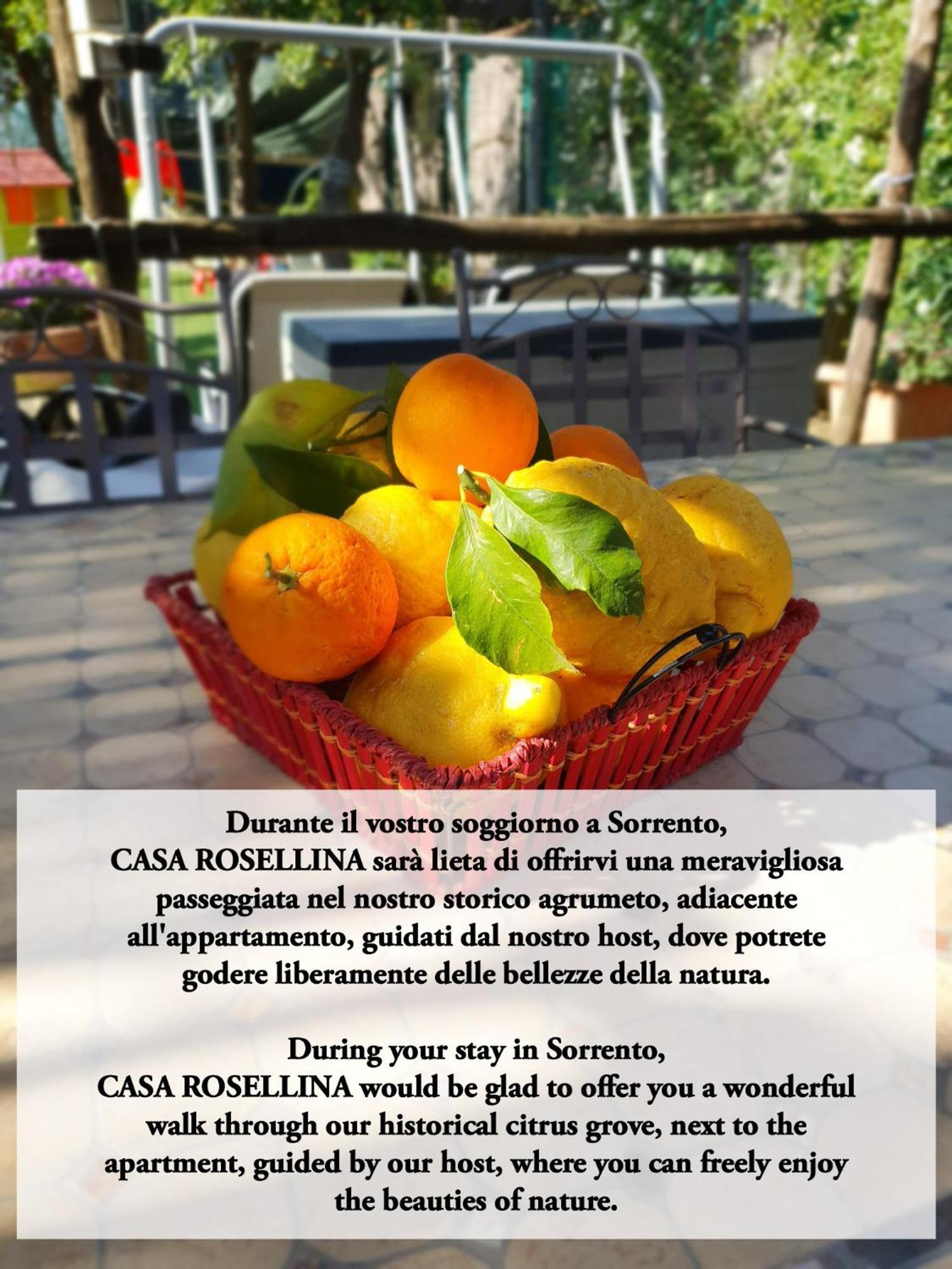 Villa Casa Rosellina Sorrento Esterno foto